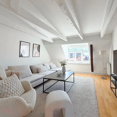 Spacious And Bright 4-room In Downtown Apartment